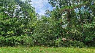 216 Palm Way, Georgetown, FL 32139