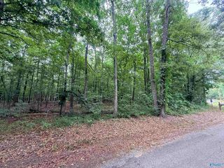 1 County Road 667, Cedar Bluff, AL 35959