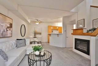 3346 City Lights Pl, San Jose, CA 95136