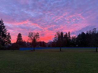142 Scottview St, Glide, OR 97443