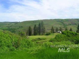 Tbd Wildberry Ln, Lenore, ID 83541