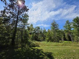 V/l Robin Hood Dr, Fairview, MI 48621