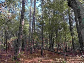 TBD Willtown Rd., Kingstree, SC 29556