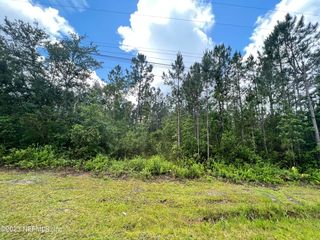 2060 KNOTTINGHAM Place, MIDDLEBURG , FL 32068