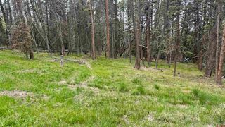 1301 Spruce Road, Cimarron, CO 81220