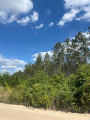 Betty Smith Rd, Pearson, GA 31642