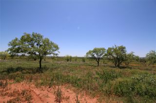 8 Marshal Trl, Tuscola, TX 79562