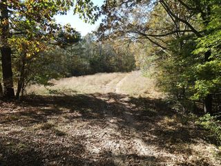 2 Copper Spring Rd #2, Springville, TN 38256
