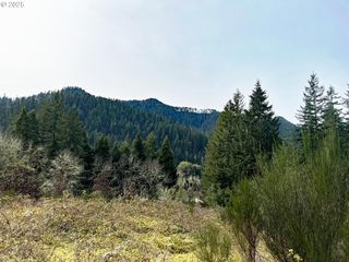 State Highway 138, Oakland, OR 97462