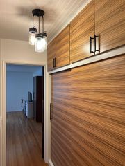 Hallway to bath and bedroom. Closets and storage cabinets paneled with real zebra wood laid horizontally.