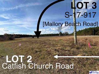 3 S  17th #917, Latta, SC 29565