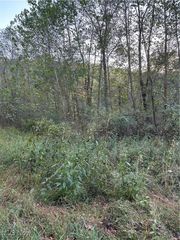 Lickskillet Rd, Woodsfield, OH 43793