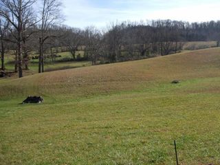Old Snapps Ferry Rd, Limestone, TN 37681