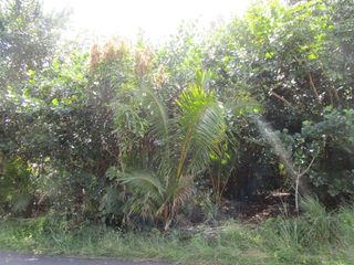 Beach Rd #2988, Keaau, HI 96749