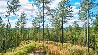 Lot 53 Royal Wulff Ave, Talking Rock, GA 30175