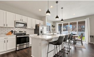 5240 Osbourne Dr, Windsor, CO 80550