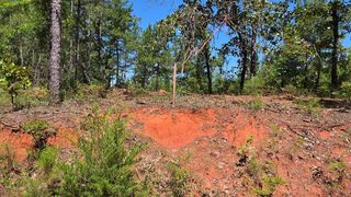 1 Perry Luckie Rd, Greenville, AL 36037