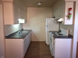 apt 109 kitchen