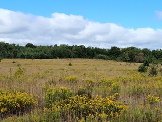 Mouse Island Rd, Perham, ME 04766