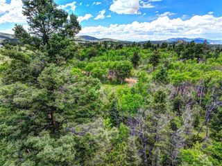 174 Elk View Road, Lake George, CO 80827