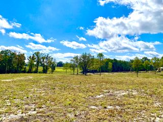 Henleyfield McNeil Rd #7, Carriere, MS 39426