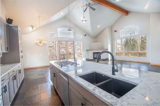 1863 Peregrine Lane, Silverthorne, CO 80498