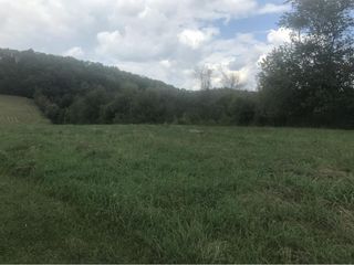 Tranbarger Rd, Mount Carmel, TN 37645