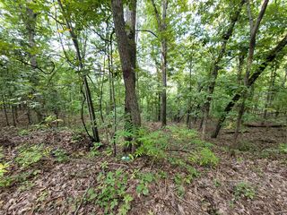 Falling Tree Ln, Flippin, AR 72634