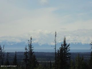 L1-2 Clyde Thomas Ave, Anchor Pt, AK 99556
