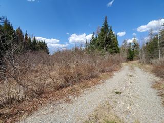 Lot 7 Scott Brook, Machias, ME 04654