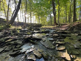 Smith Rd, North East, PA 16428