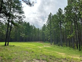 0C Myrick Rd, Lumberton, MS 39455