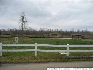 11359 Home Port Dr, Maurepas, LA 70449