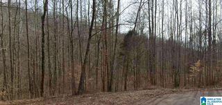 Heritage Creek Dr #15, Springville, AL 35146