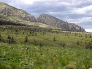 Nhn Ranger Way, Belfry, MT 59008