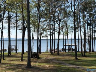 166 County Road 490, Leesburg, AL 35983