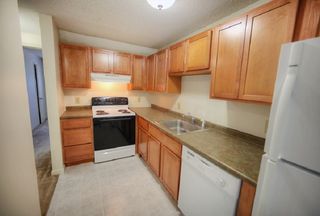 furnished apartments for rent in worcester ma 1 rentals trulia