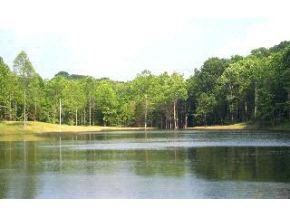 Lot-11C E  Pedigo Bay Dr, Bloomington, IN 47401