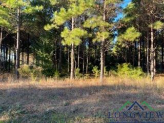 Tbd Bluebell Rd, Gilmer, TX 75644