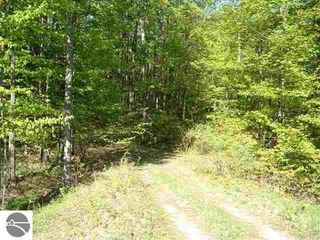 Lot 3 S  Peach Ridge Dr #3, Cedar, MI 49621