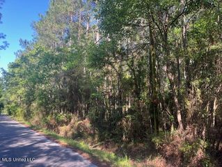 Martin young Rd, Moss pt, MS 39562