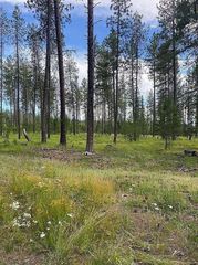 151XX E  Oregon Rd #49111.9068, Elk, WA 99009