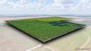 County Road 260, Anson, TX 79501