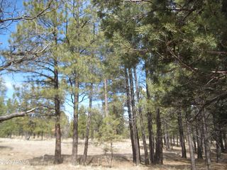 1632 PINE CANYON Drive #37, Happy Jack, AZ 86024