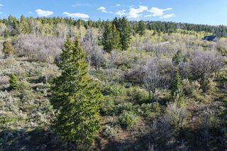 17104 S  Alta Dr E, Spanish Fork, UT 84660