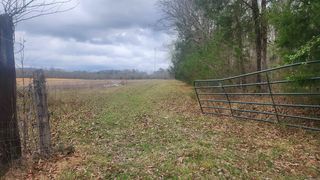 Albert Pike Rd, Royal, AR 71968