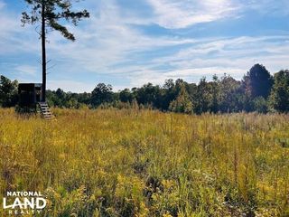 County Road 205, Fruithurst, AL 36262