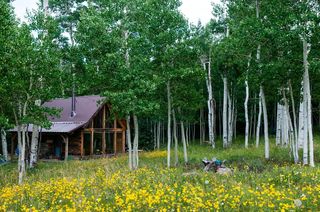 3795 San Juan Vista Dr, Placerville, CO 81430