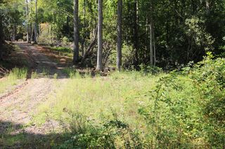 1654 Mining Town Rd, Mountain City, TN 37683