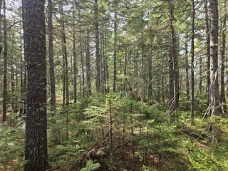 Map 4-47 Merrill Road, Guilford, ME 04443